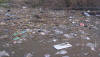 回収干潟に漂着したゴミの数々
