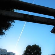 #096　湯島天神上空、飛行機雲（2018.05.20）